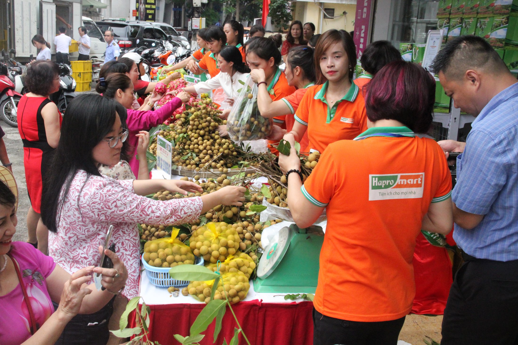 Khách Hàng Mua Nhãn Sông Mã Sơn La