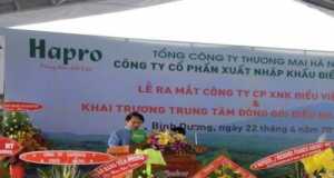 ra mắt công ty CP XNK Điều Việt Hà và khai trương trung tâm đóng gói điều nhân xuất khẩu