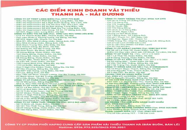 Hapro thu mua trực tiếp vải Thiều Thanh Hà – Hải Dương